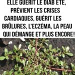 À la découverte de l’histoire de ce trésor en bois