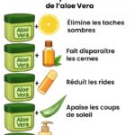 La solution naturelle pour des canalisations impeccables !