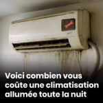 L’astuce insoupçonnée : une cuillère glacée pour des bienfaits surprenants