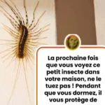 Les significations cachées derrière le port d’une bague à la main droite